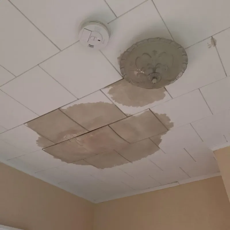 Ceiling Water Damage Repair in South Fulton, TN