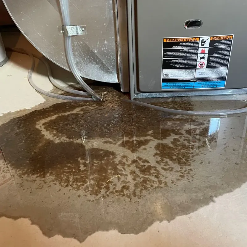 Pipe Burst and Leak Restoration in South Fulton, TN