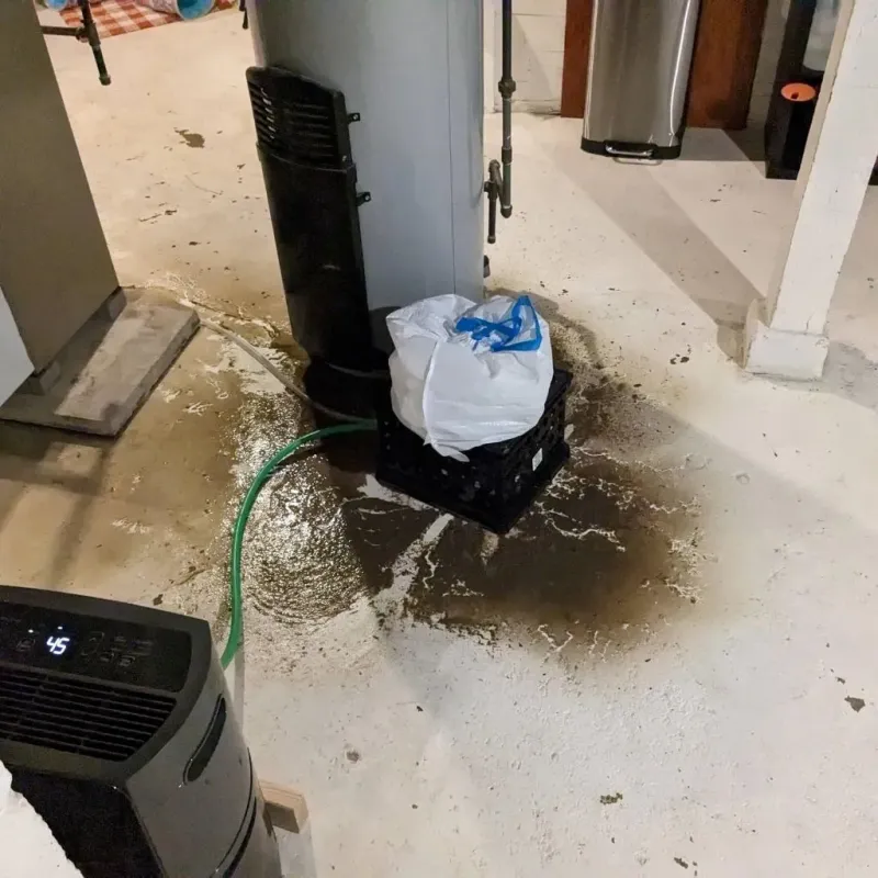 Sewage Backup Cleanup Service in South Fulton, TN